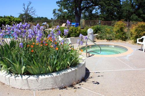 Shenandoah Inn, Major Credit Cards Required For Check In Plymouth 외부 사진
